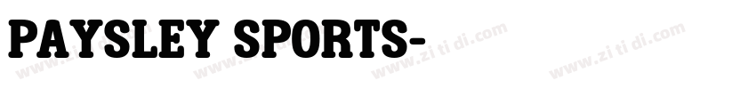 paysley sports字体转换